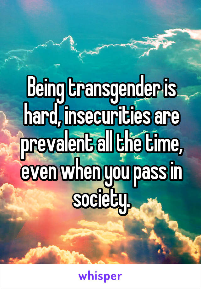 Being transgender is hard, insecurities are prevalent all the time, even when you pass in society.