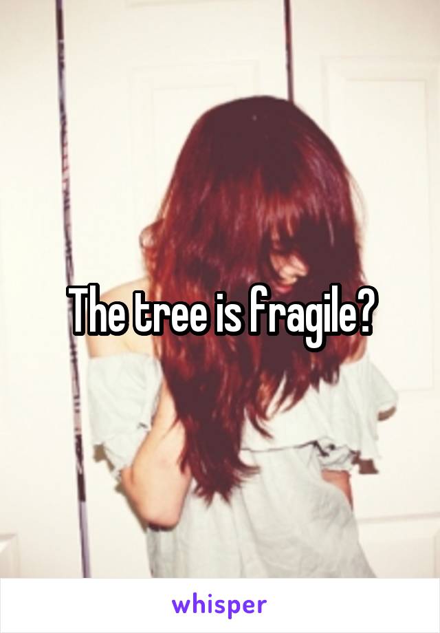 The tree is fragile?