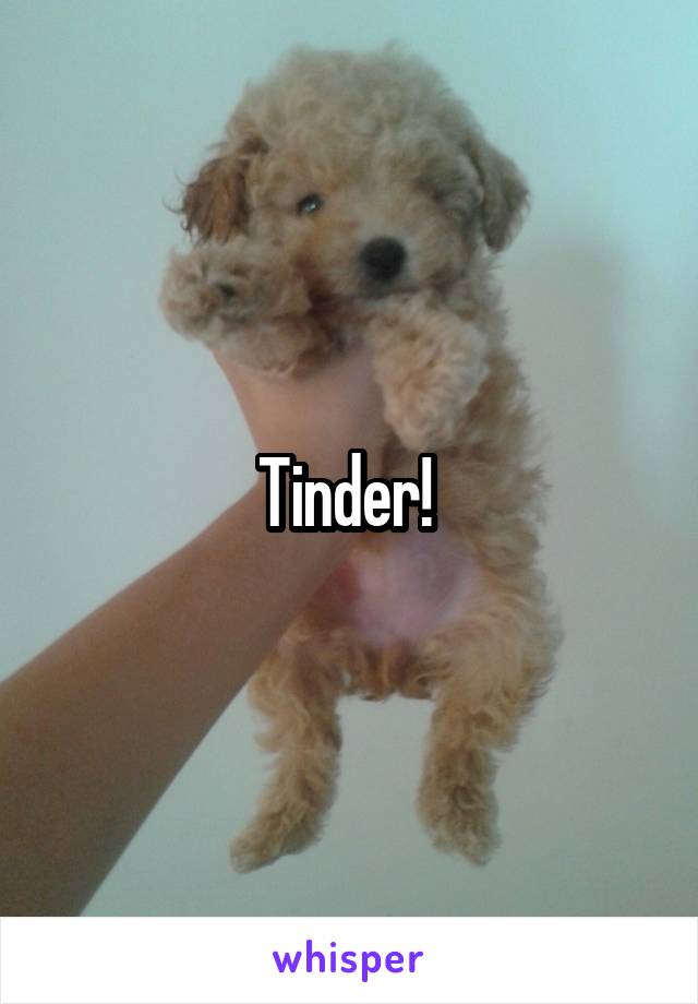 Tinder! 