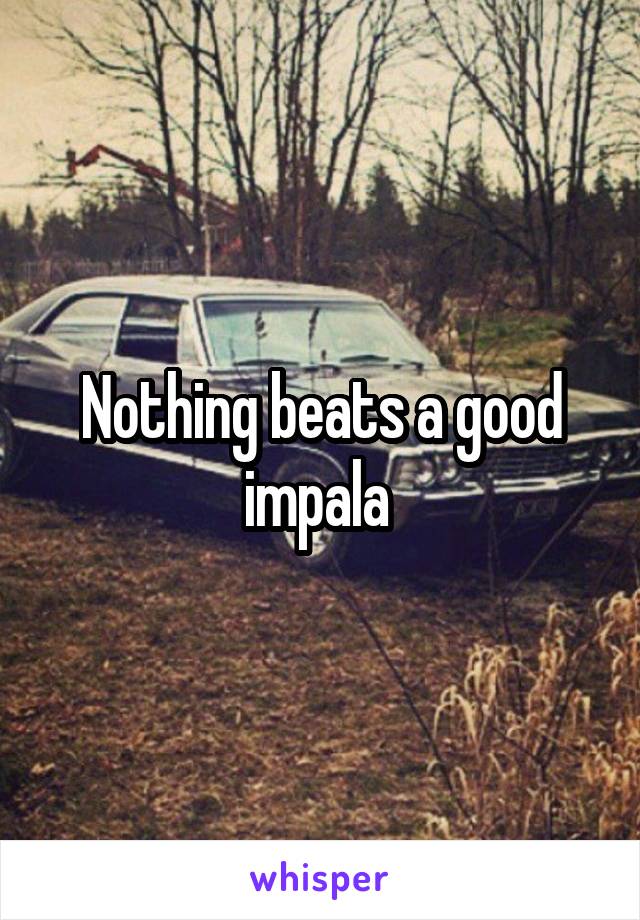 Nothing beats a good impala 