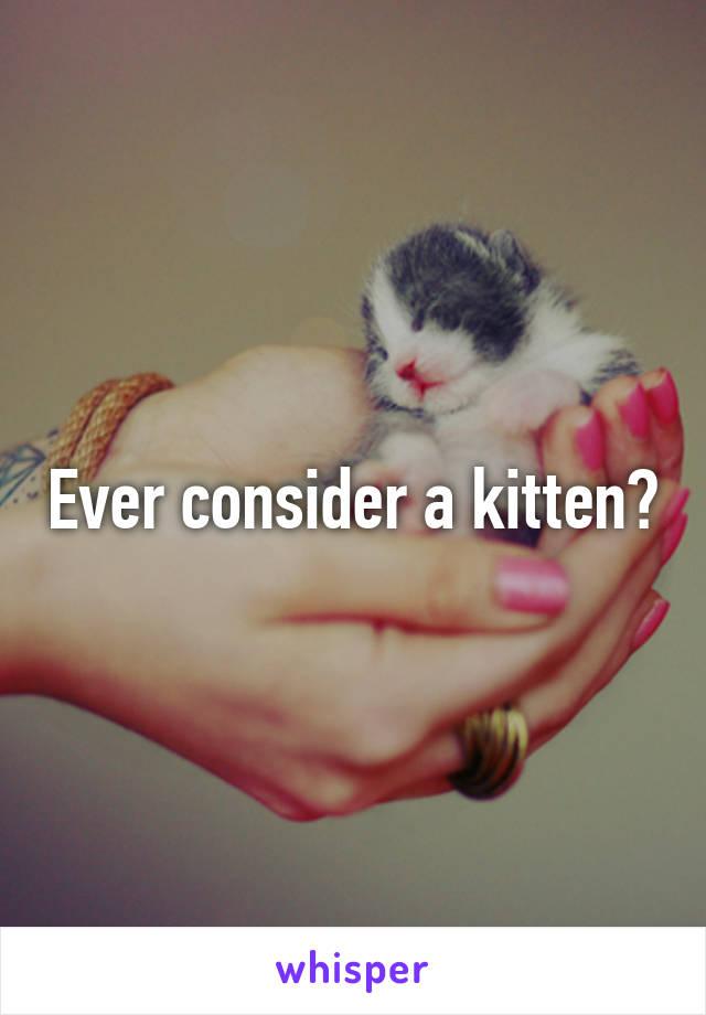 Ever consider a kitten?