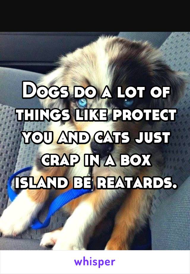 Dogs do a lot of things like protect you and cats just crap in a box island be reatards.