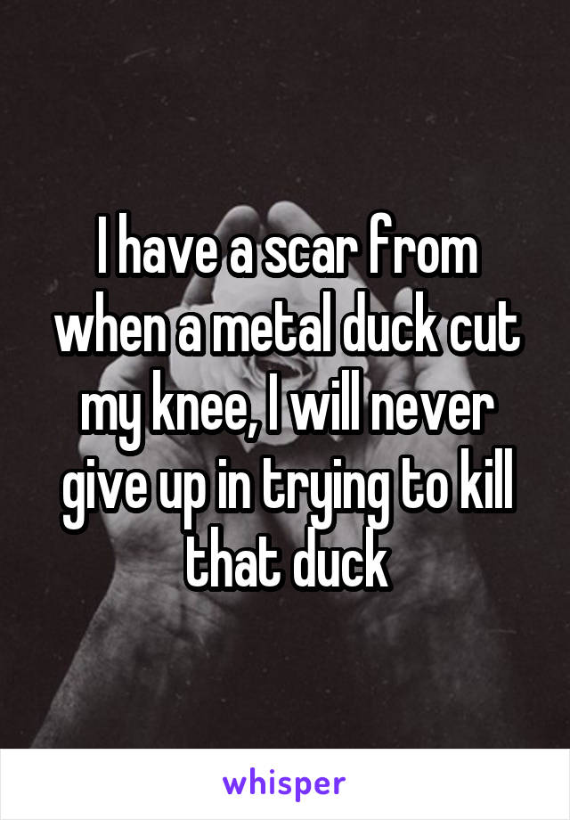 I have a scar from when a metal duck cut my knee, I will never give up in trying to kill that duck