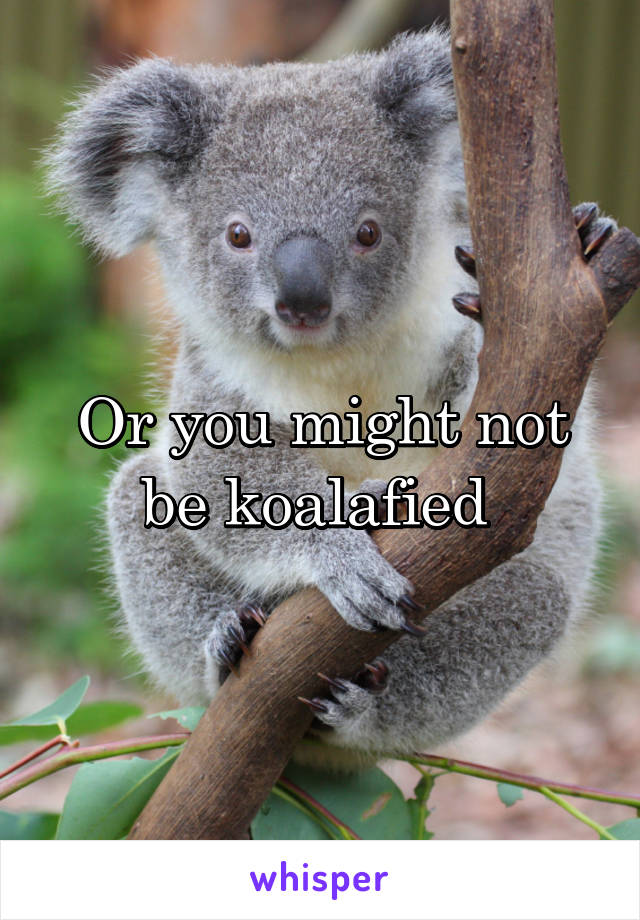 Or you might not be koalafied 