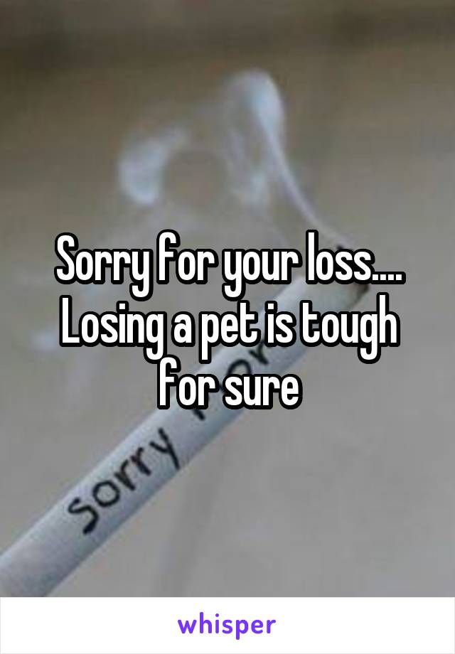 Sorry for your loss.... Losing a pet is tough for sure