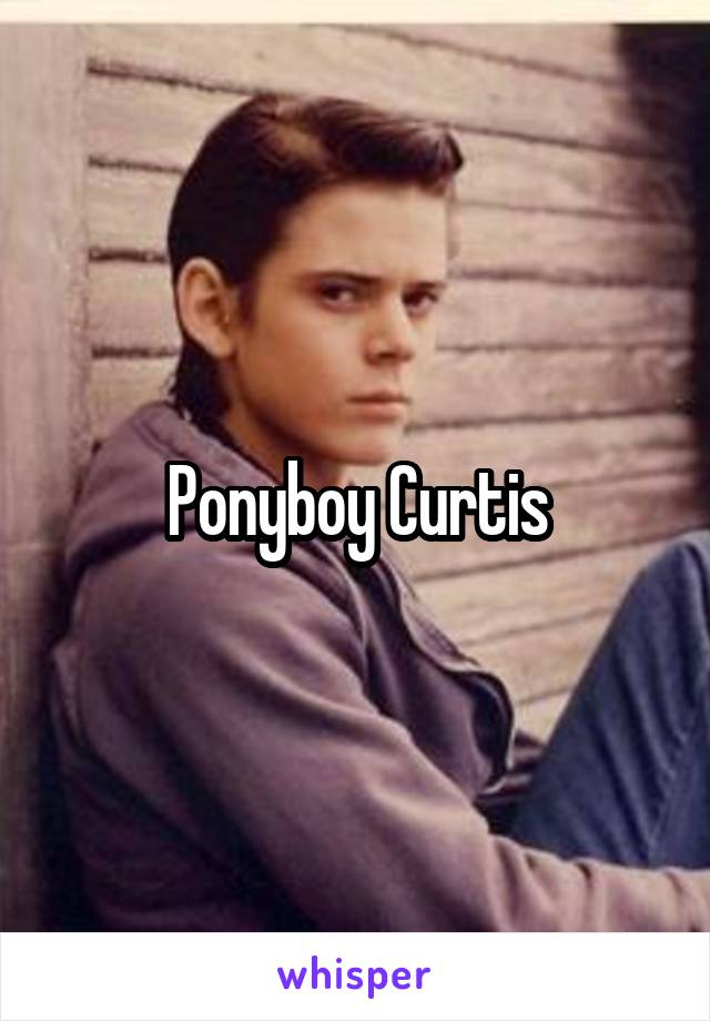 Ponyboy Curtis