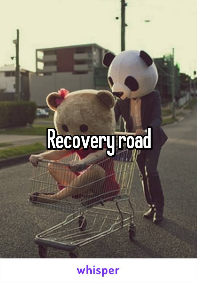 Recovery road