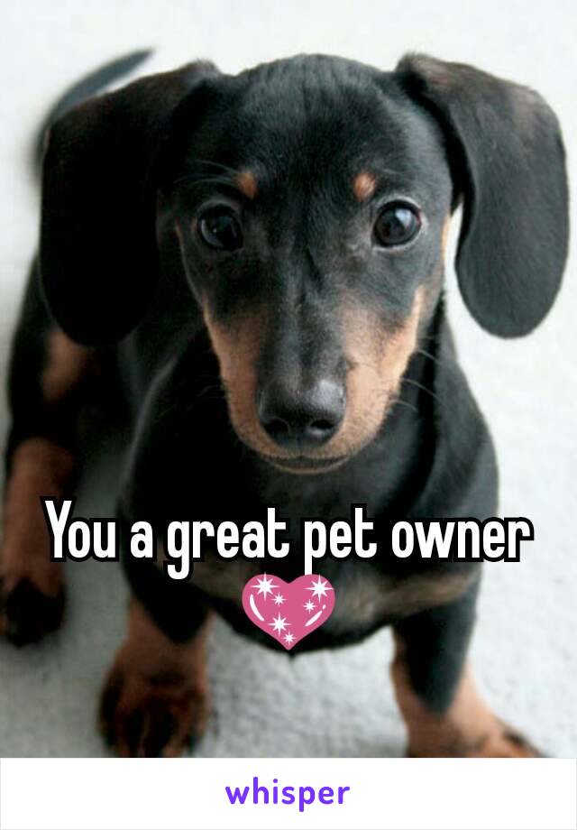 You a great pet owner 💖