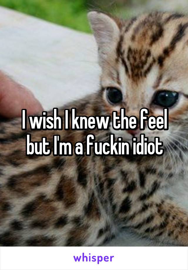 I wish I knew the feel but I'm a fuckin idiot