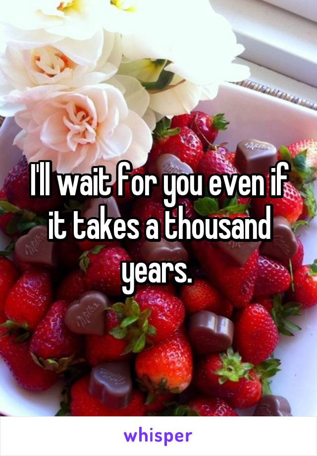 I'll wait for you even if it takes a thousand years. 