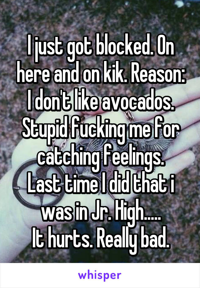 I just got blocked. On here and on kik. Reason:
I don't like avocados.
Stupid fucking me for catching feelings.
Last time I did that i was in Jr. High.....
It hurts. Really bad.