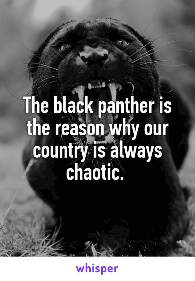 The black panther is the reason why our country is always chaotic. 
