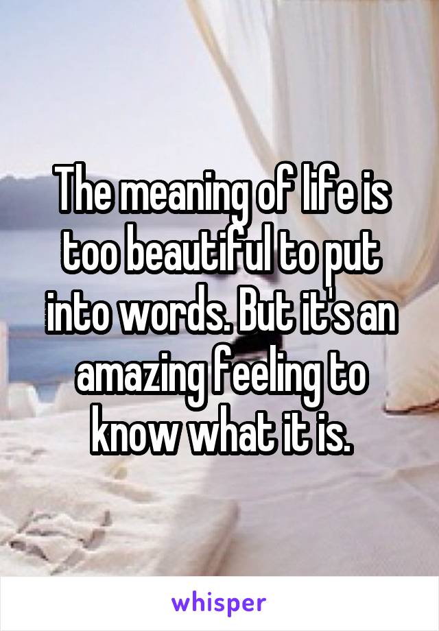 The meaning of life is too beautiful to put into words. But it's an amazing feeling to know what it is.