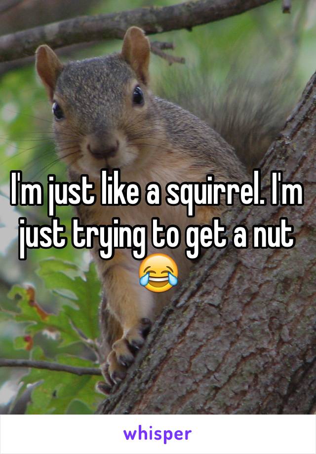 I'm just like a squirrel. I'm just trying to get a nut 😂