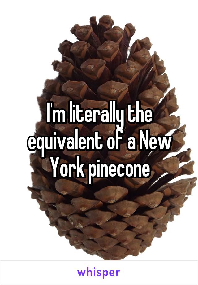 I'm literally the equivalent of a New York pinecone