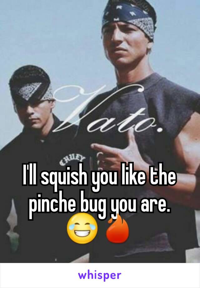 I'll squish you like the pinche bug you are. 😂🔥