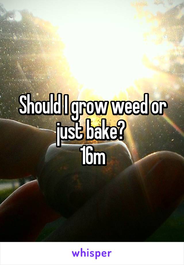 Should I grow weed or just bake? 
16m