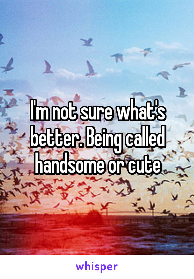 I'm not sure what's better. Being called handsome or cute