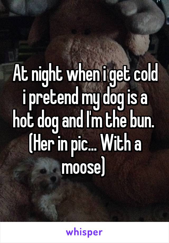 At night when i get cold i pretend my dog is a hot dog and I'm the bun. 
(Her in pic... With a moose) 