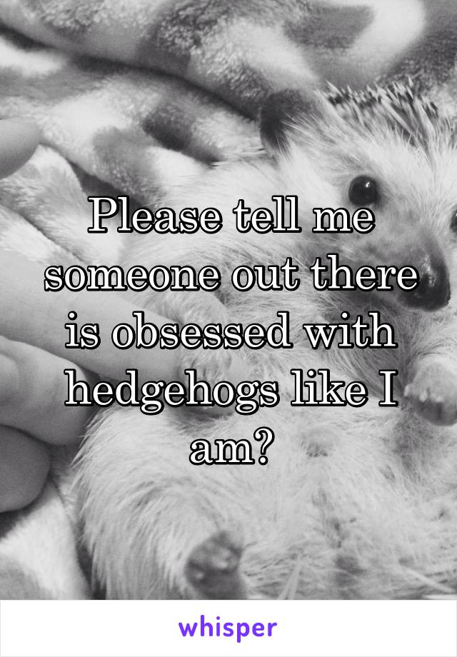 Please tell me someone out there is obsessed with hedgehogs like I am?