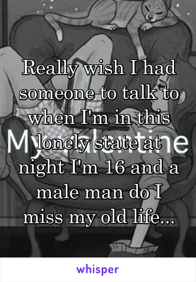 Really wish I had someone to talk to when I'm in this lonely state at night I'm 16 and a male man do I miss my old life...