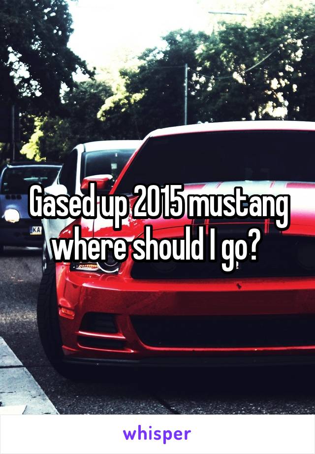 Gased up 2015 mustang where should I go? 