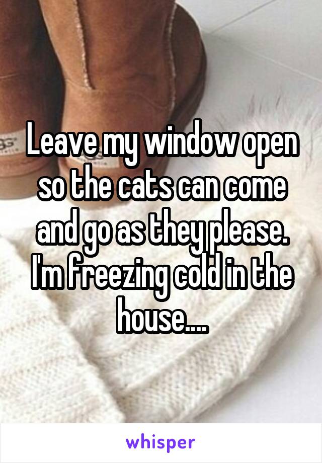 Leave my window open so the cats can come and go as they please. I'm freezing cold in the house....