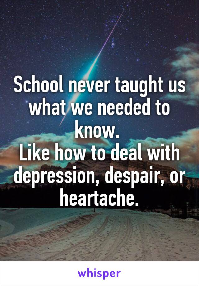 School never taught us what we needed to know. 
Like how to deal with depression, despair, or heartache.