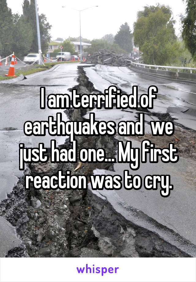 I am terrified of earthquakes and  we just had one... My first reaction was to cry.