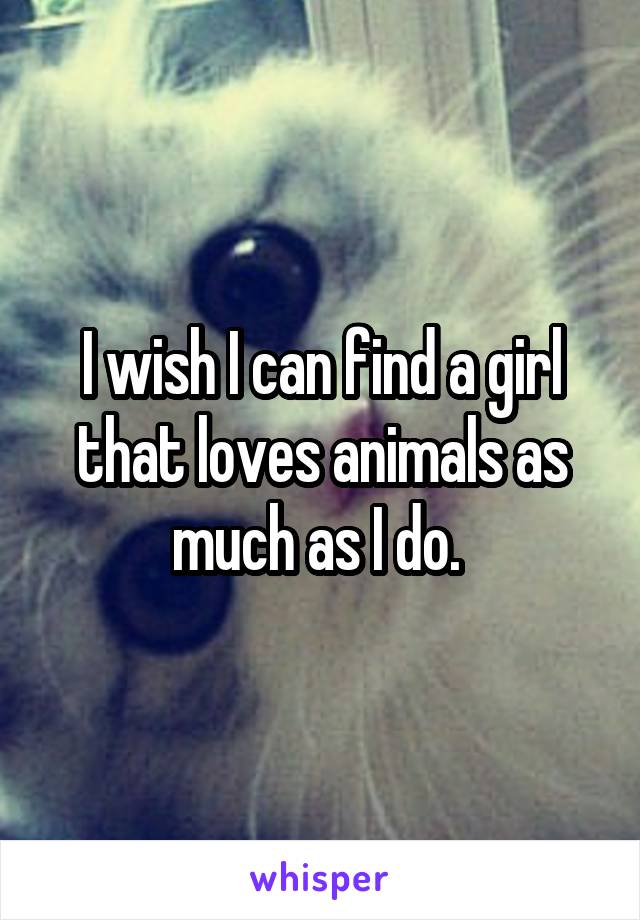 I wish I can find a girl that loves animals as much as I do. 