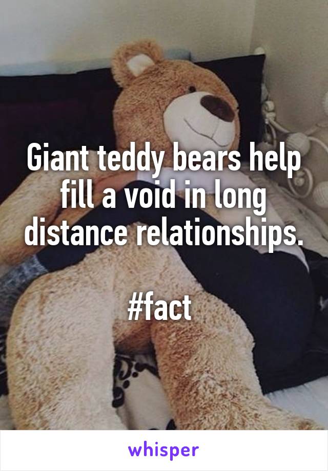 Giant teddy bears help fill a void in long distance relationships. 
#fact 