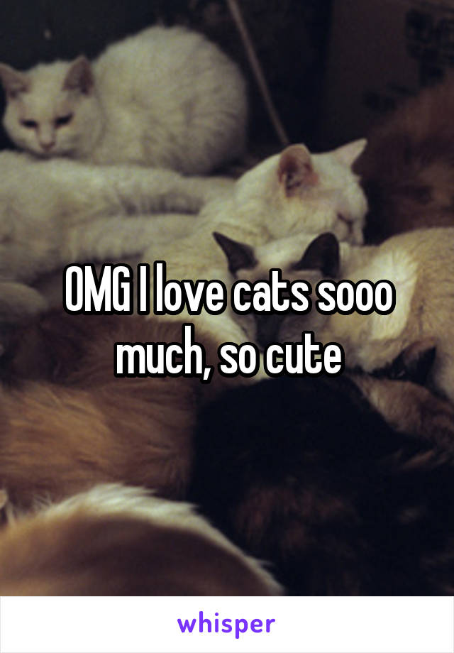 OMG I love cats sooo much, so cute