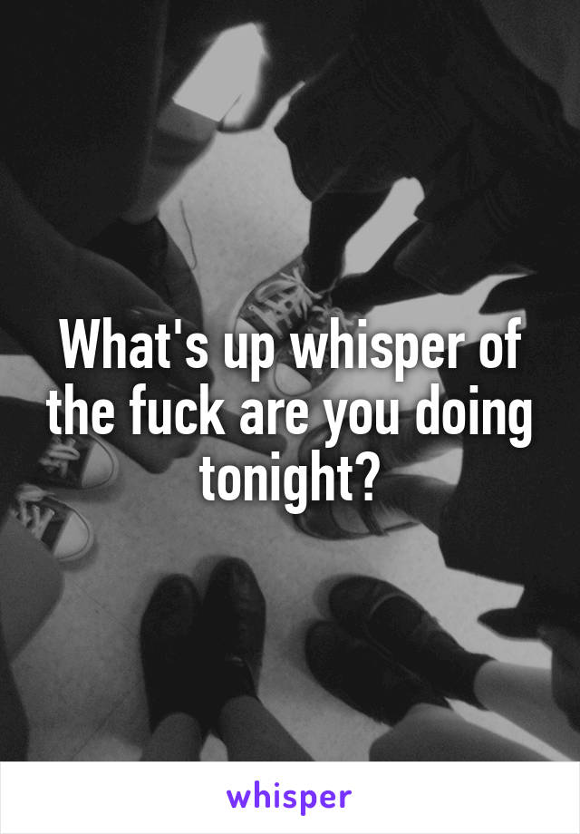 What's up whisper of the fuck are you doing tonight?