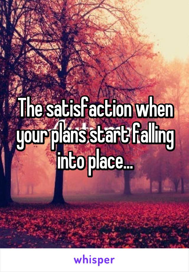 The satisfaction when your plans start falling into place...