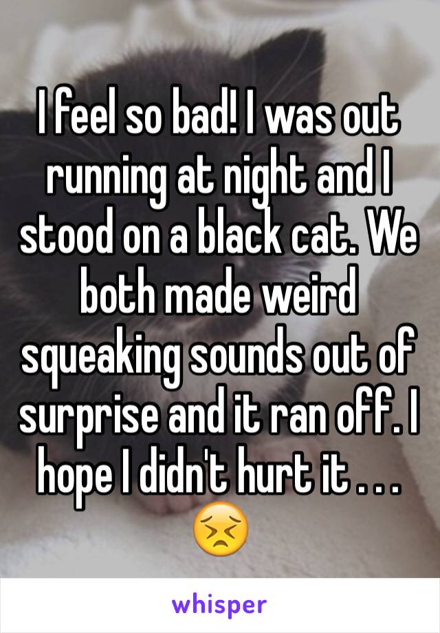I feel so bad! I was out running at night and I stood on a black cat. We both made weird squeaking sounds out of surprise and it ran off. I hope I didn't hurt it . . .
😣
