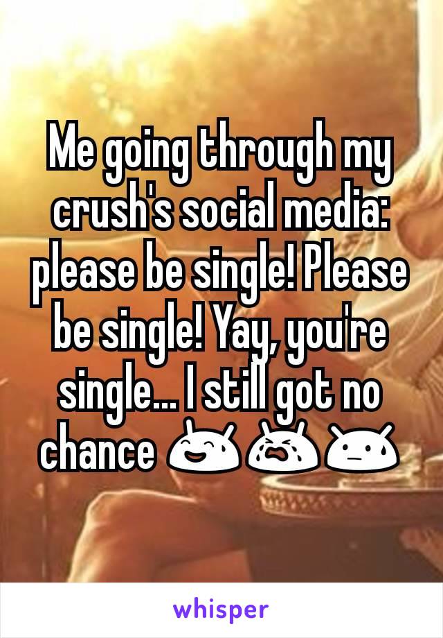 Me going through my crush's social media: please be single! Please be single! Yay, you're single... I still got no chance 😅😭😓