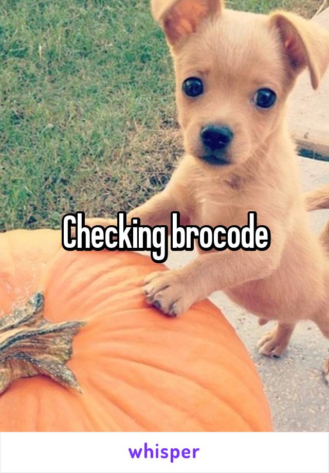 Checking brocode