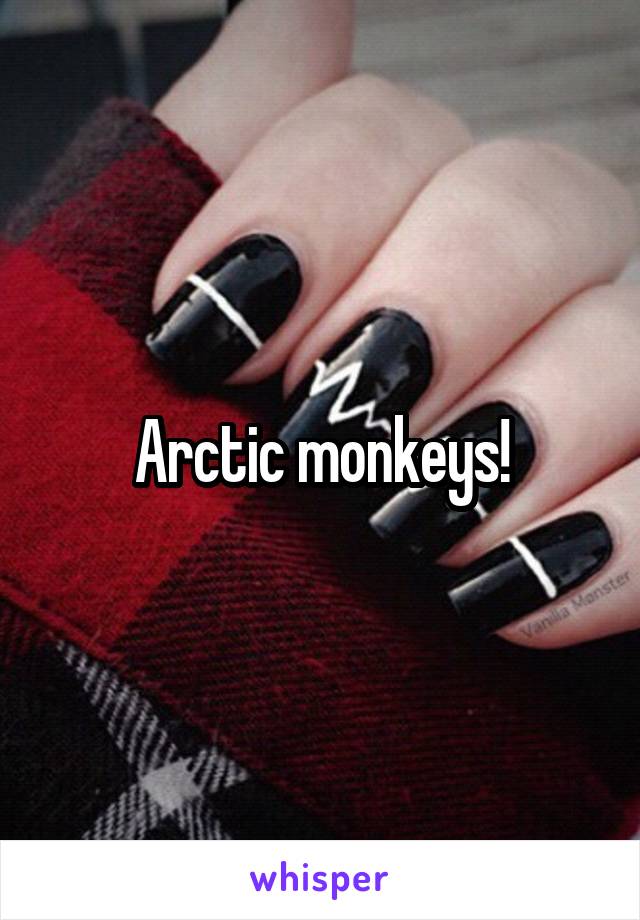 Arctic monkeys!