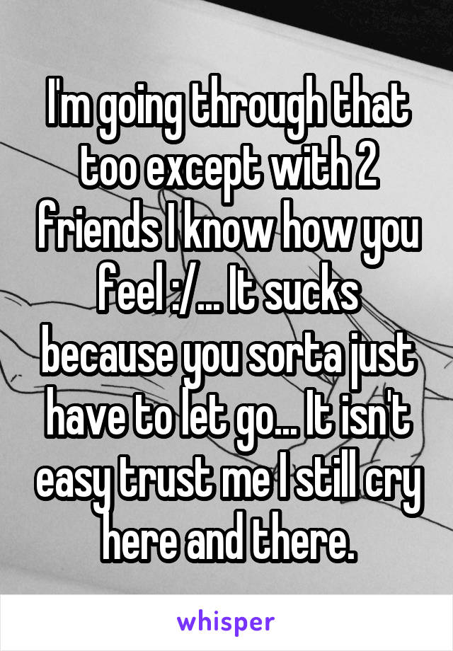 I'm going through that too except with 2 friends I know how you feel :/... It sucks because you sorta just have to let go... It isn't easy trust me I still cry here and there.