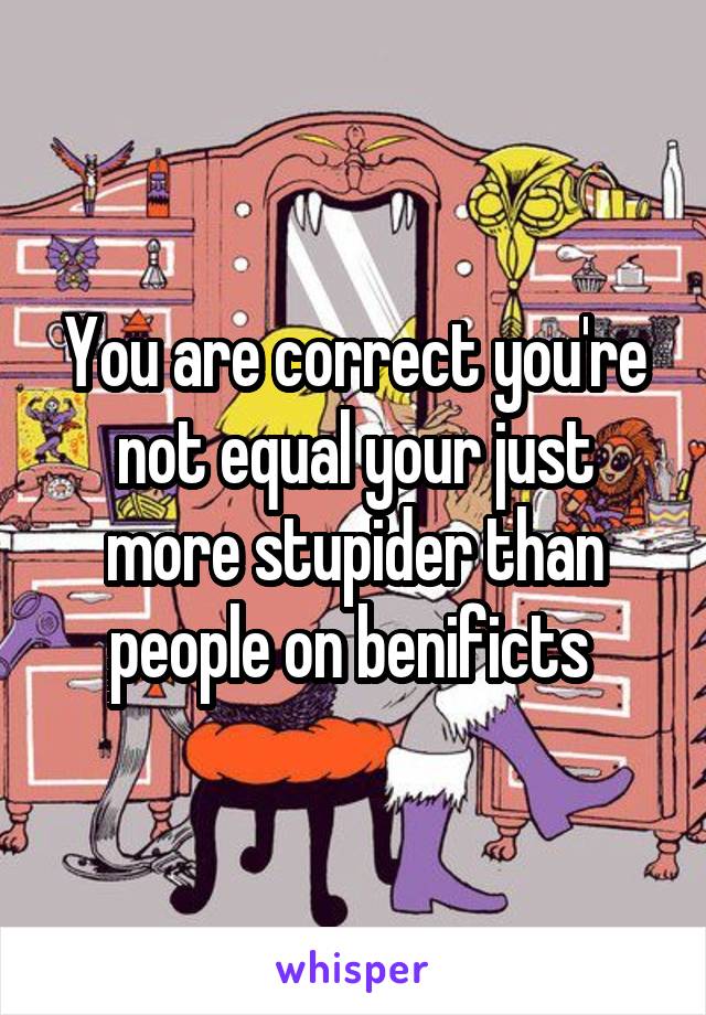 You are correct you're not equal your just more stupider than people on benificts 