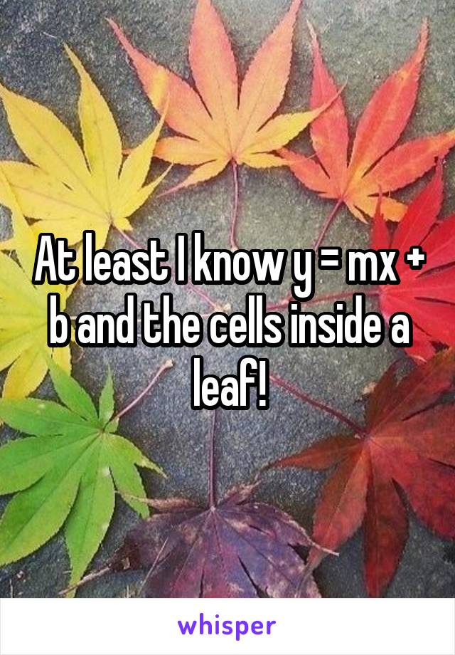 At least I know y = mx + b and the cells inside a leaf!