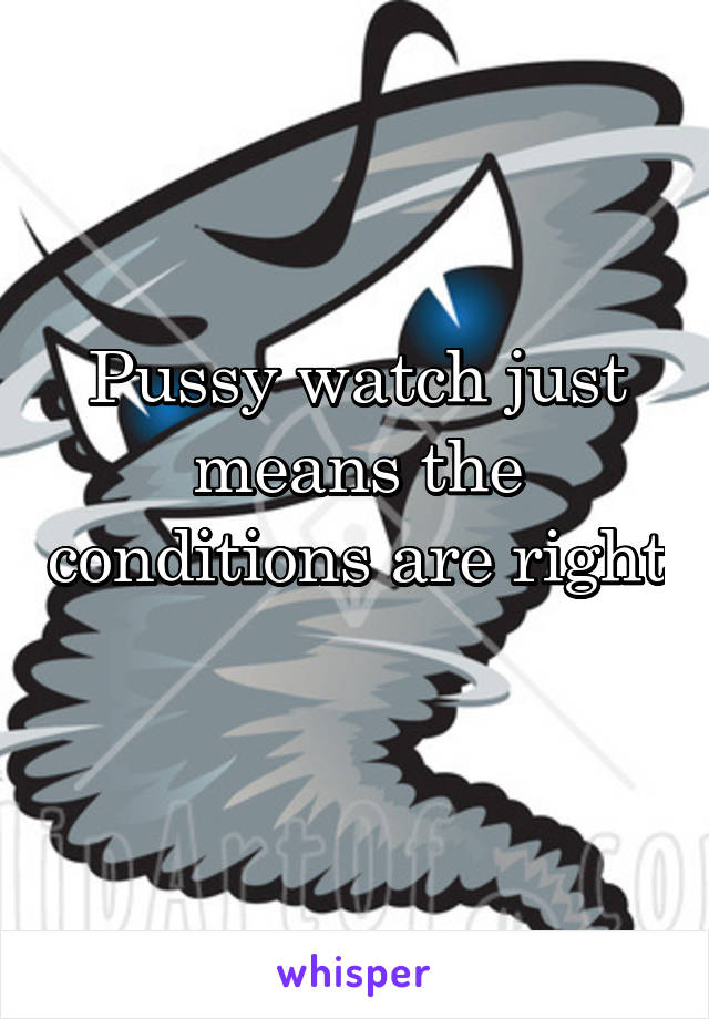Pussy watch just means the conditions are right 