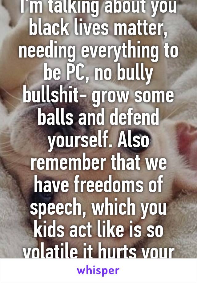 I'm talking about you black lives matter, needing everything to be PC, no bully bullshit- grow some balls and defend yourself. Also remember that we have freedoms of speech, which you kids act like is so volatile it hurts your soul