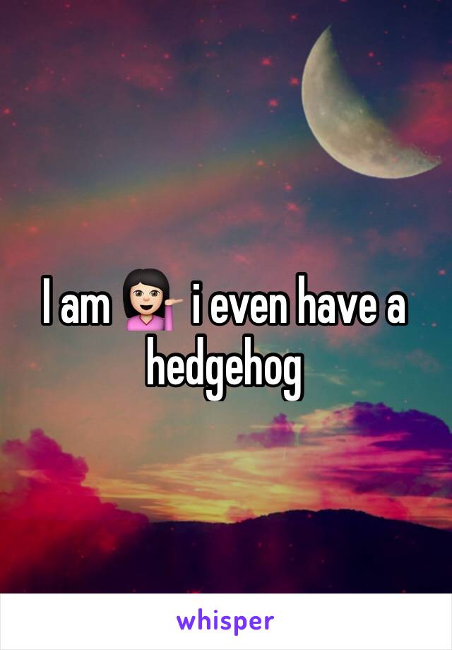 I am 💁🏻 i even have a hedgehog 