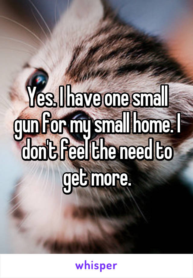 Yes. I have one small gun for my small home. I don't feel the need to get more.