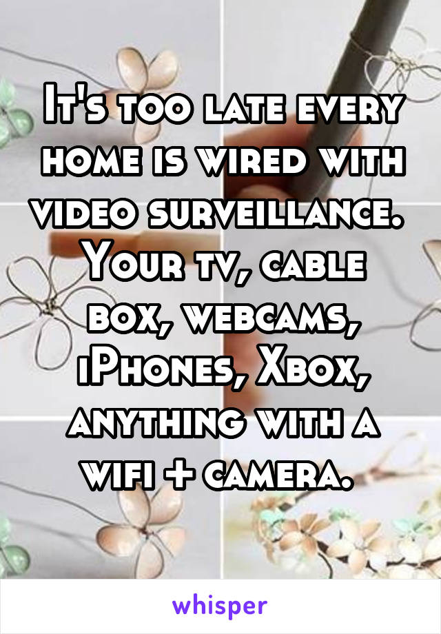 It's too late every home is wired with video surveillance. 
Your tv, cable box, webcams, iPhones, Xbox, anything with a wifi + camera. 
 