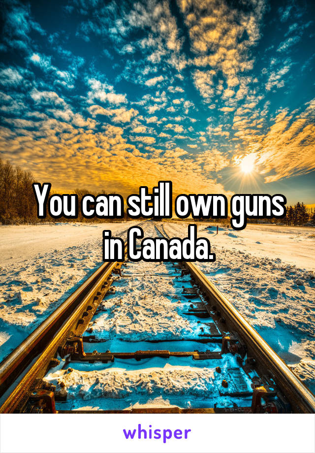 You can still own guns in Canada.