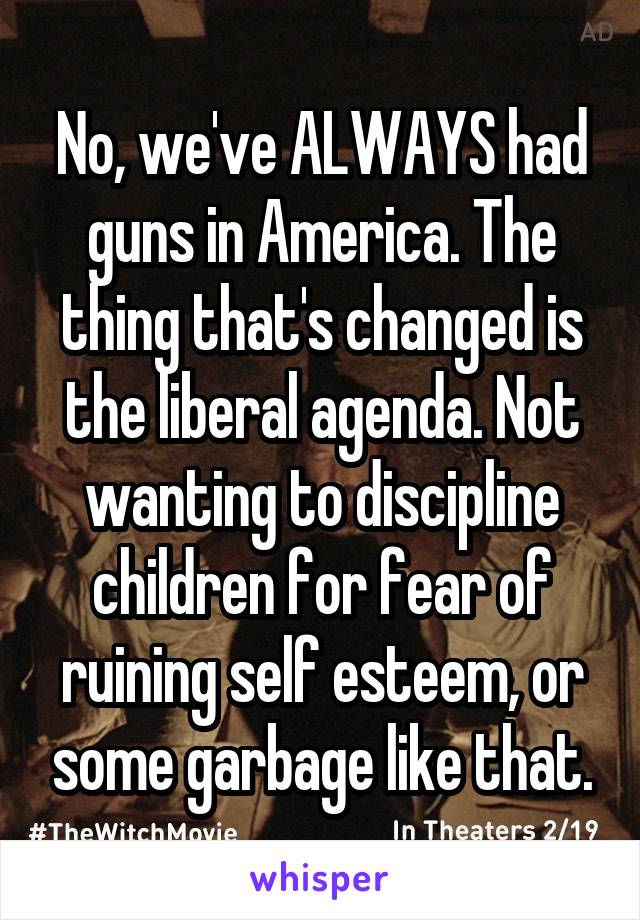 No, we've ALWAYS had guns in America. The thing that's changed is the liberal agenda. Not wanting to discipline children for fear of ruining self esteem, or some garbage like that.