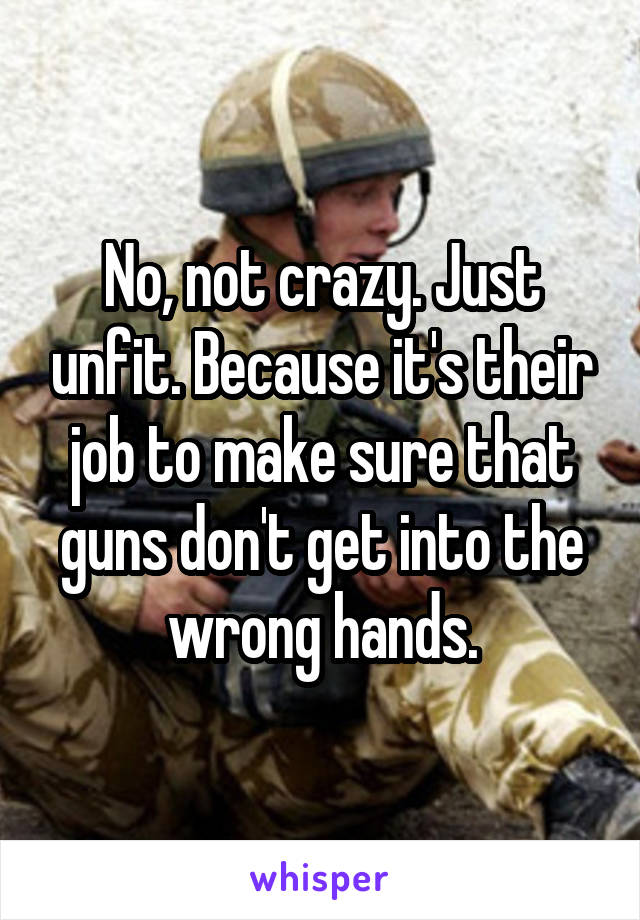 No, not crazy. Just unfit. Because it's their job to make sure that guns don't get into the wrong hands.