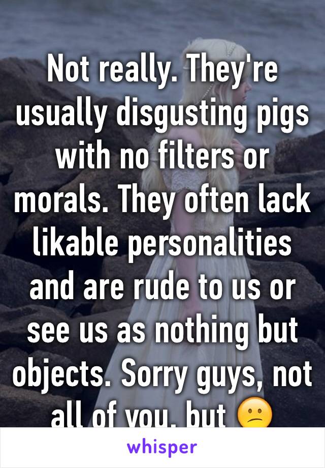 Not really. They're usually disgusting pigs with no filters or morals. They often lack likable personalities and are rude to us or see us as nothing but objects. Sorry guys, not all of you, but 😕